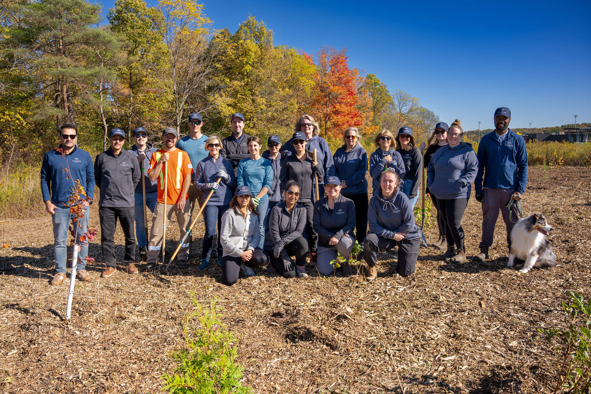 A group of people and a dog pose outdoors in a field with trees in the background on a sunny day.