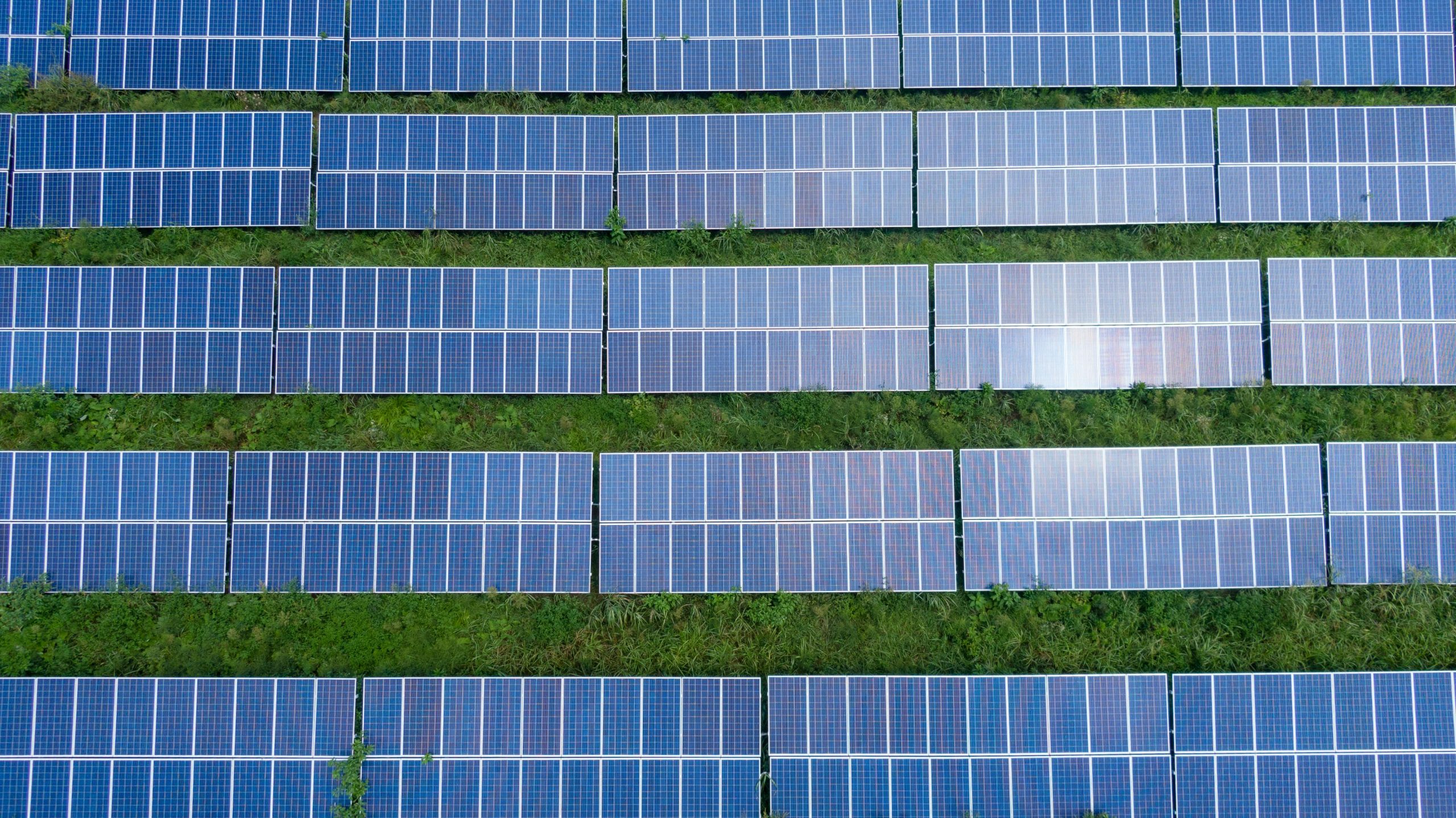 Solar panels in a field.