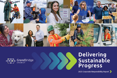 Collage of people engaged in various work and community activities with the text "Delivering Sustainable Progress.